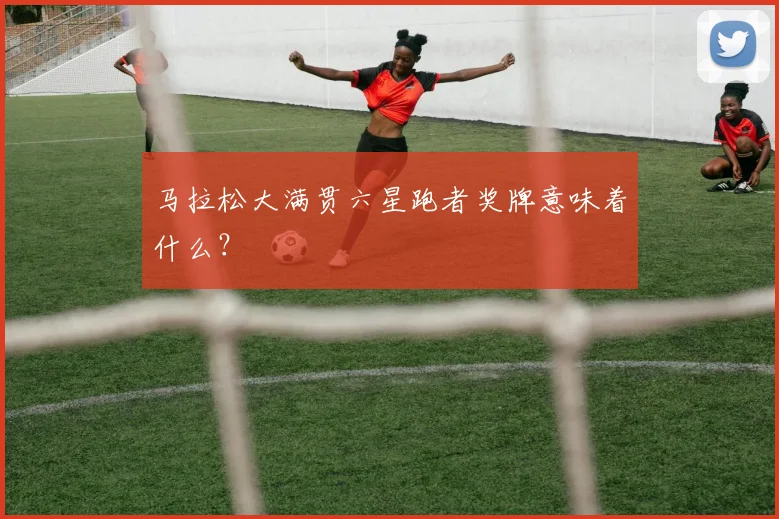 马拉松大满贯六星跑者奖牌意味着什么?