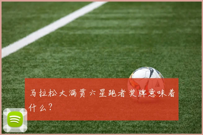马拉松大满贯六星跑者奖牌意味着什么?
